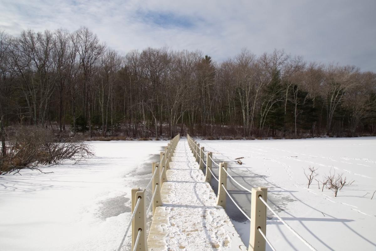 Winter scene at DelCarte located on Pleasant Street