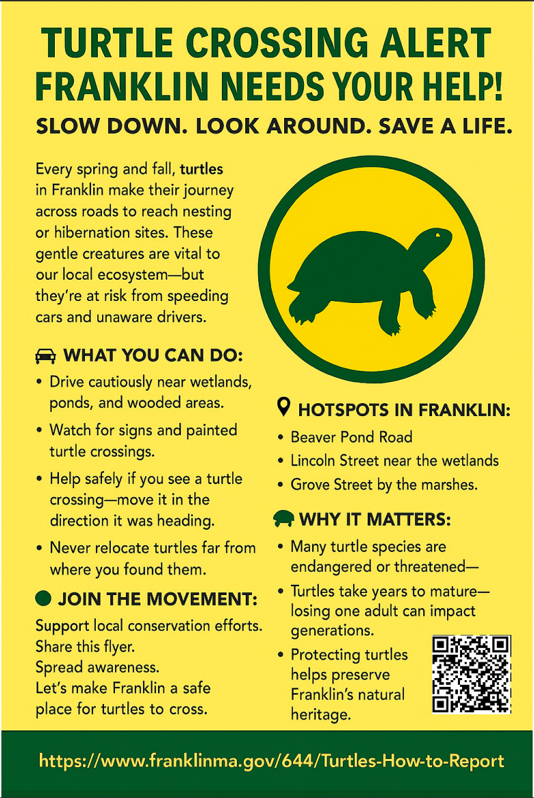 Turtle Crossing Awareness Flyer