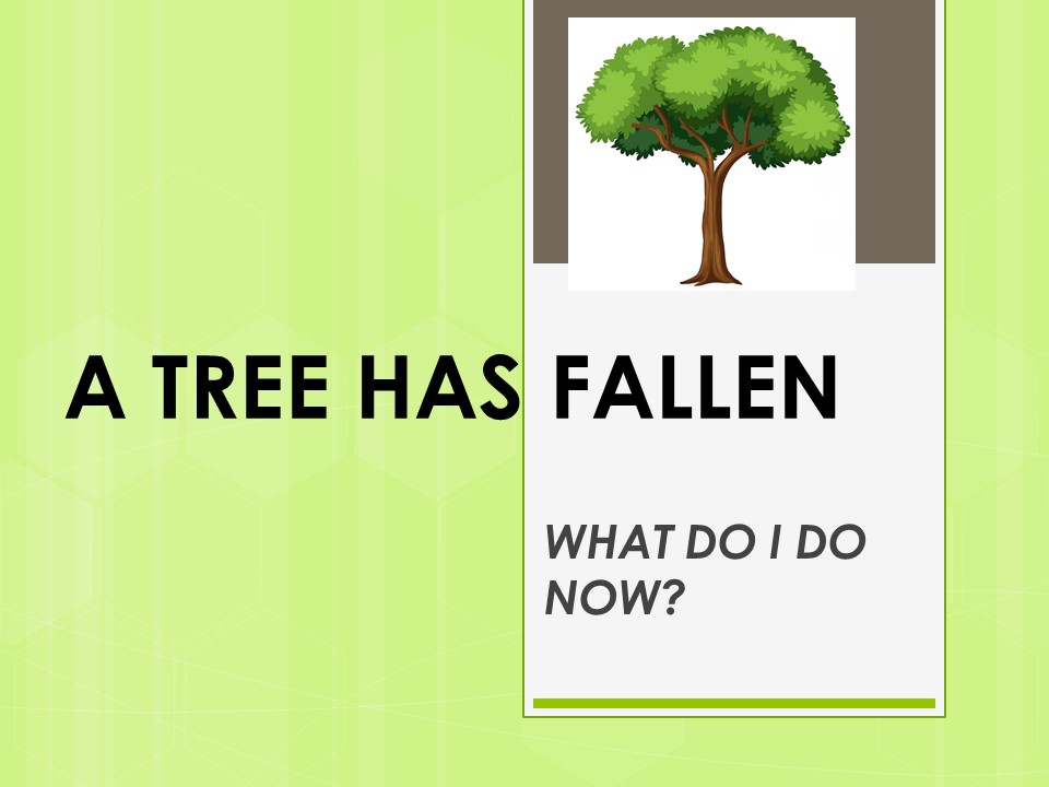 A Tree Has Fallen