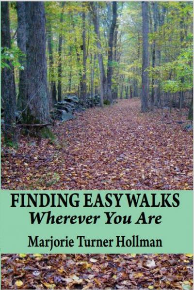 Finding Easy Walks