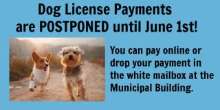 Dog License deadline postponed until June 1st
