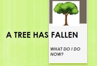 A Tree Has Fallen Presentation Logo