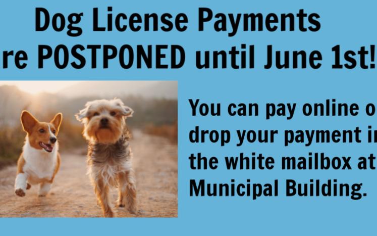Dog License deadline postponed until June 1st