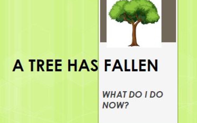 A Tree Has Fallen Presentation Logo