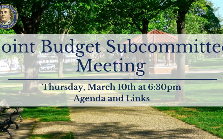  Joint Budget Subcommittee Meeting March 10th, 2022 